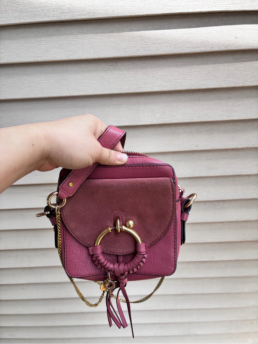 Chloe Women's Pink Suede & Leather Crossbody Bag with Gold Ring Accent